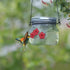 🎇2023 Love Gift Sale Buy one get one free - Hummingbird Feeder Mason Jar Three Ports