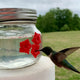 🎇2023 Love Gift Sale Buy one get one free - Hummingbird Feeder Mason Jar Three Ports