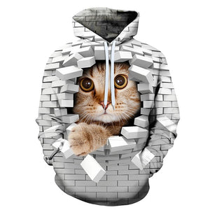 3D Graphic Printed Hoodies Cat