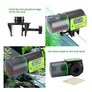 Automatic Fish Feeder