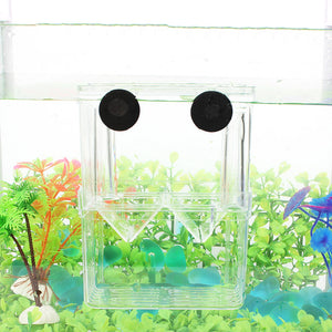 Breeding Isolation Fish Tank Box