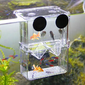 Breeding Isolation Fish Tank Box