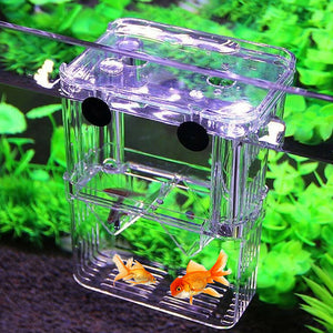 Breeding Isolation Fish Tank Box