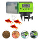 Automatic Fish Feeder