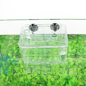 Breeding Isolation Fish Tank Box