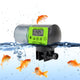 Automatic Fish Feeder