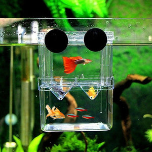 Breeding Isolation Fish Tank Box