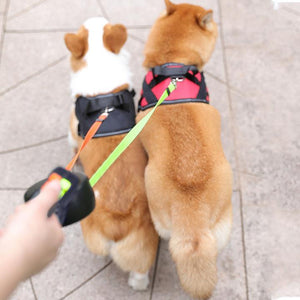 Adjustable Pet Leash For Two Dogs